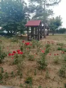 Дружба - 30