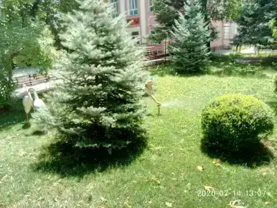 Манкент - 6