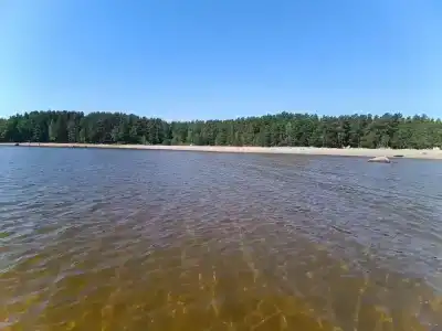 Бухта желтая - 30