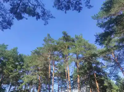 Мечетлинский - 28