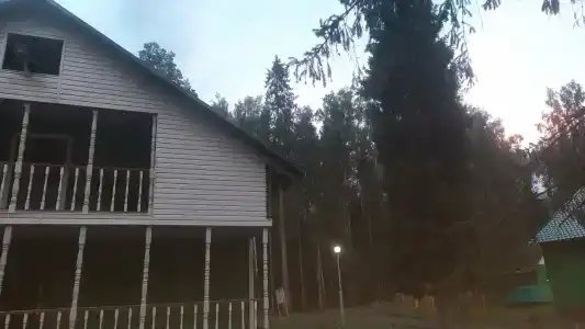 Сосновый берег - 80
