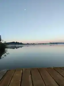 Золотая рыбка - 42