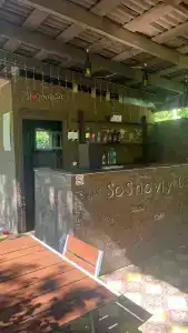 Сосновый Бор - 51