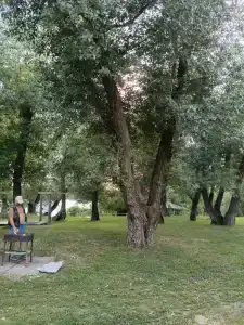 Тишанка - 38