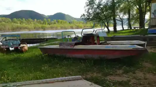 Тополя - 25
