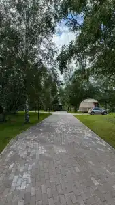 Гнездовье - 4