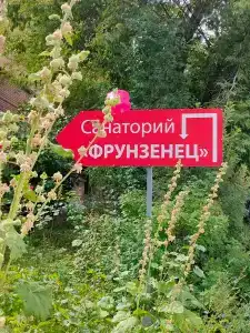 Фрунзенец - 22