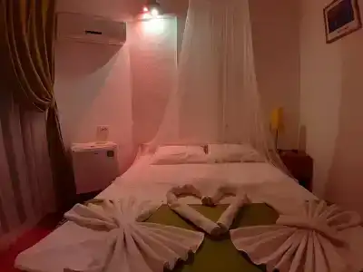 Caretta Caretta - 34