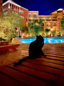 The Grand Resort - 13