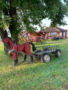 Длинный берег - 56