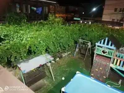 Можжевеловый дворик - 20