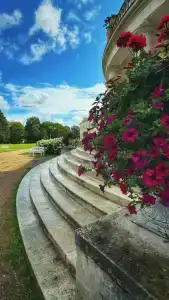 Новое Волосово - 72