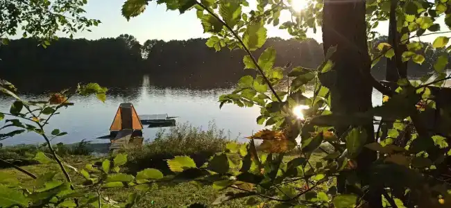 Пчелинцево - 4
