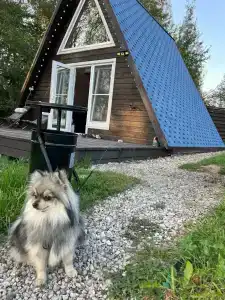 Усадьба Папино - 15
