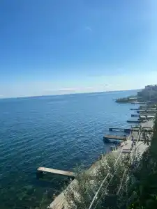 Алиса - 31