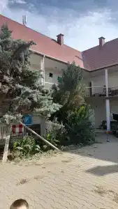 Розовый Фламинго - 11
