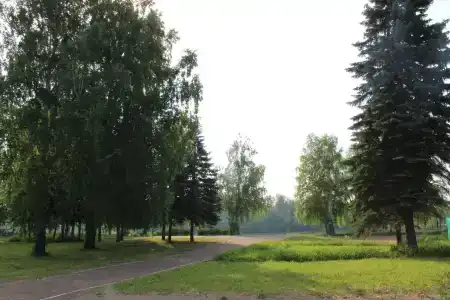 Авангард - 7