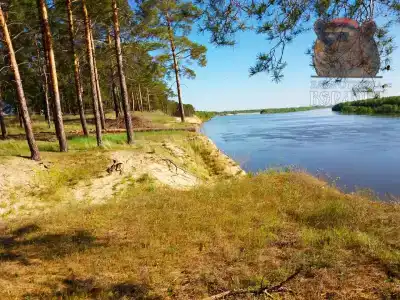 Берлога - 20