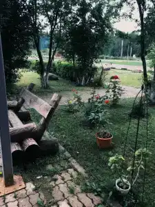 Березовка - 7