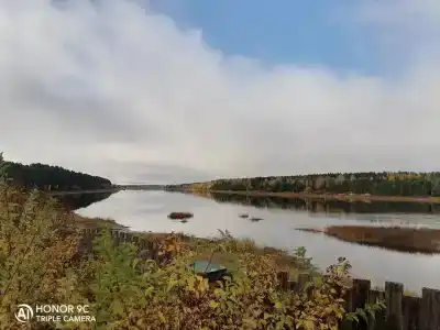 Высоковское - 14