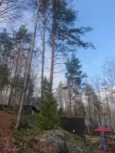 SMART на Горе - 37