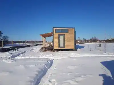 Смородина - 13