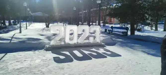 Чайка - 2