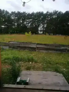 Смородина - 89