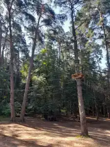 T-Park, тренинговый парк - 63