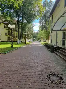 Янтарь - 27