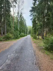 Драгунский ручей - 44