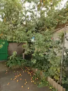 Рыбалка в Мумре Гостевой Дом - 35