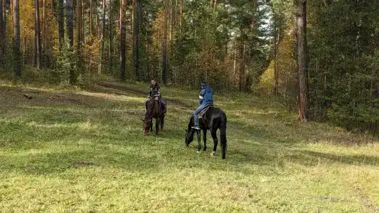 Купец - 7