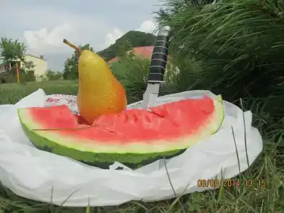 Феникс - 11