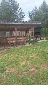 Конный Двор в Пржевальском - 32