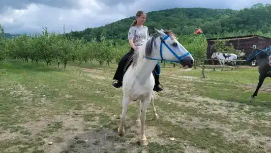Парус - 8