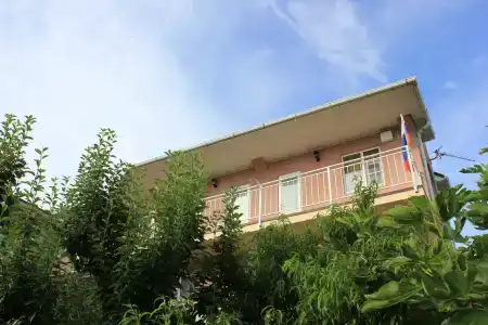 Янис - 15