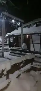 Транзит - 8