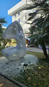 Магнолия - 72