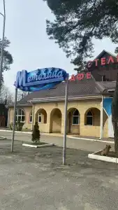 Метелица - 5