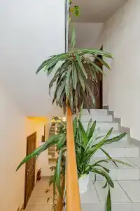 Заозерный - 17