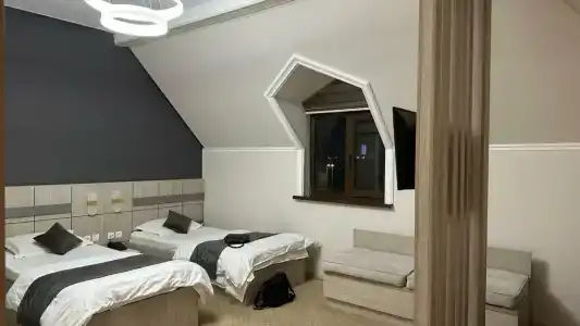 Art Regency Premium Free Airport Service - 32