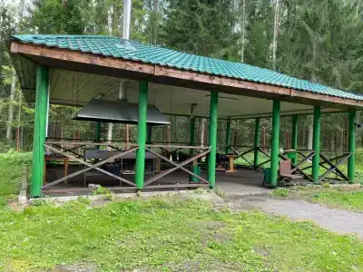 Сосновый берег - 70
