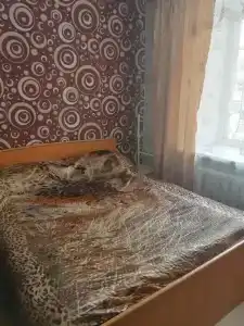 СтройСервис - 14