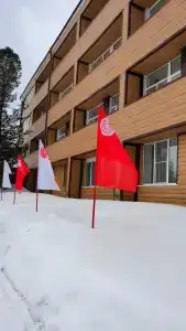 Кедр - 9