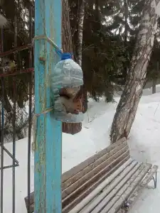 Меркурий - 14