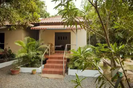 Green Mango Bungalows - 6
