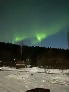 Оранжевое настроение - 16