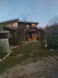 Золотая рыбка - 43