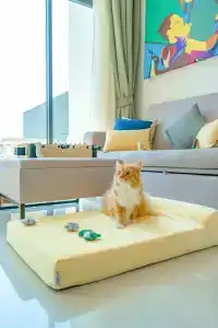 Cassia Phuket - Sha Extra Plus - 34